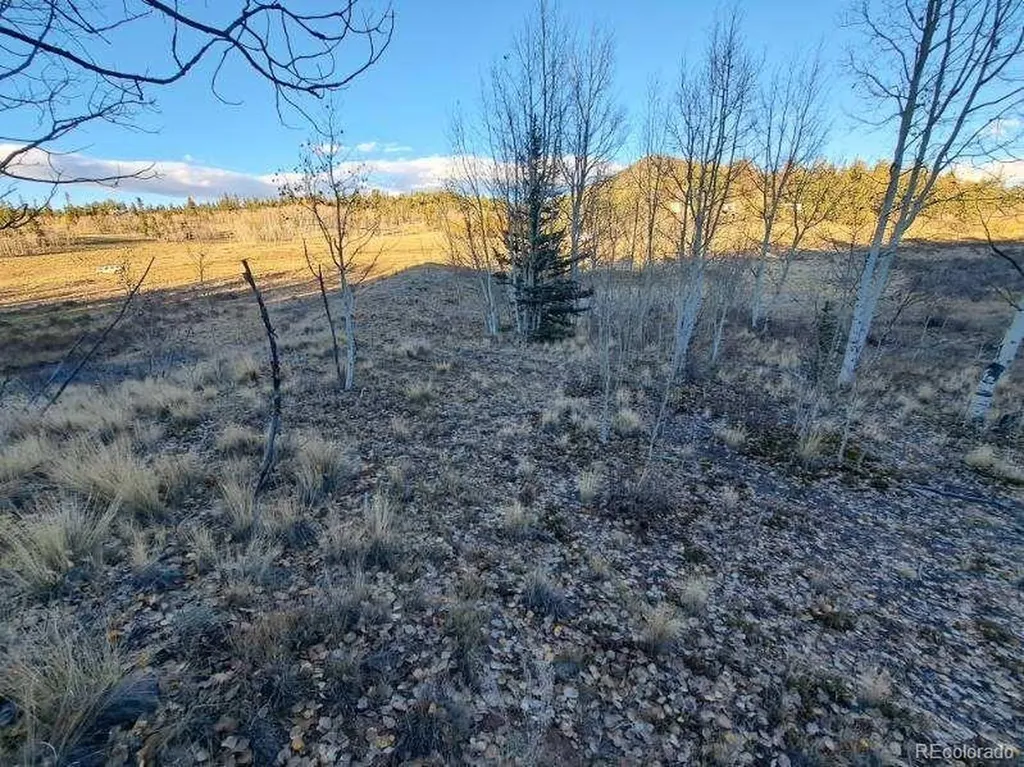 00 Haida Lane Como CO 80432