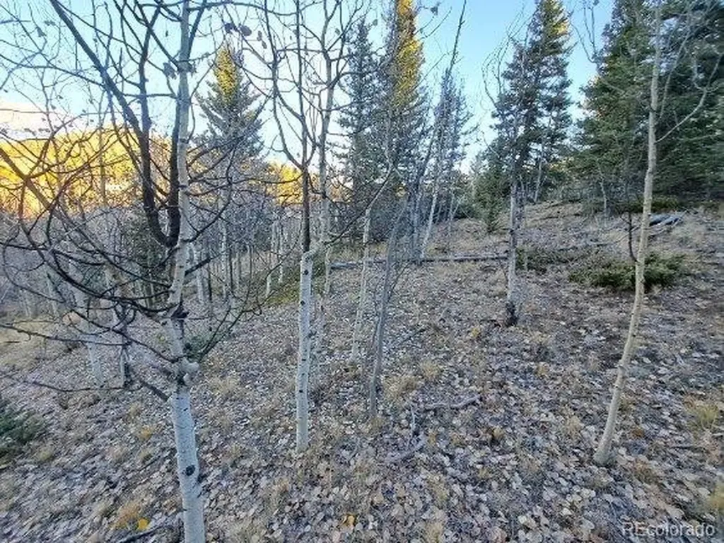 00 Haida Lane Como CO 80432
