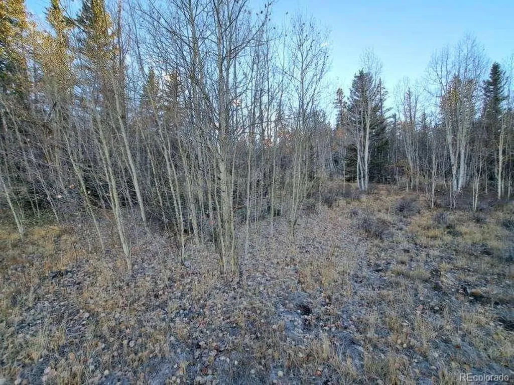 00 Haida Lane Como CO 80432