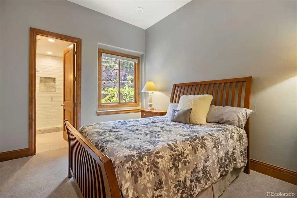 1048 Vintage Place Castle Rock CO 80108