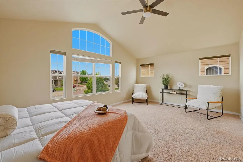 6266 Finglas Drive Colorado Springs CO 80923