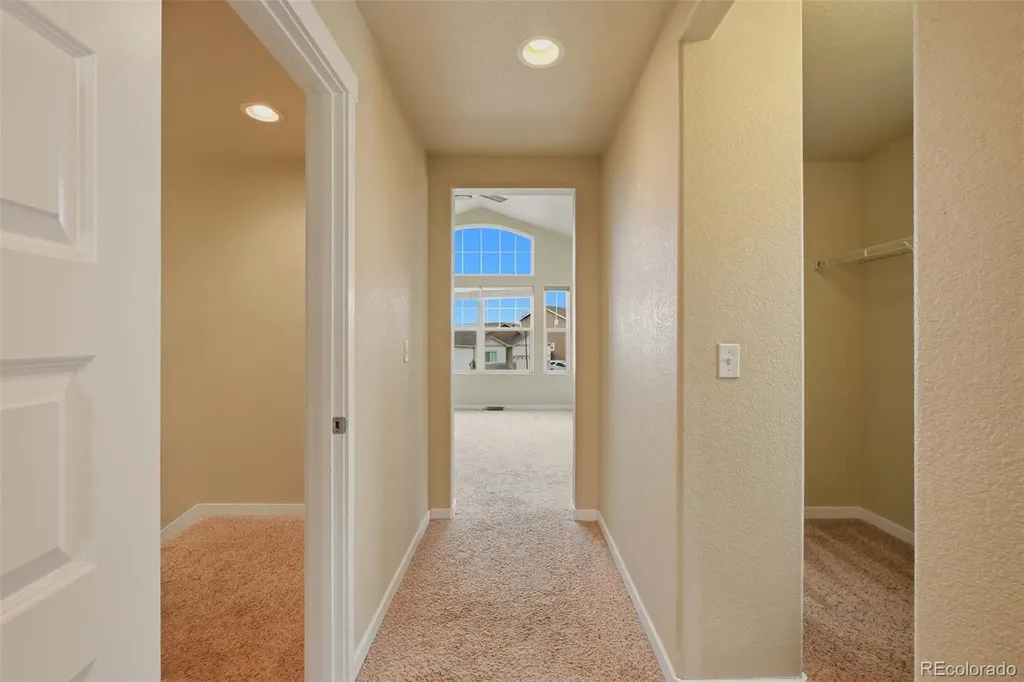 6266 Finglas Drive Colorado Springs CO 80923