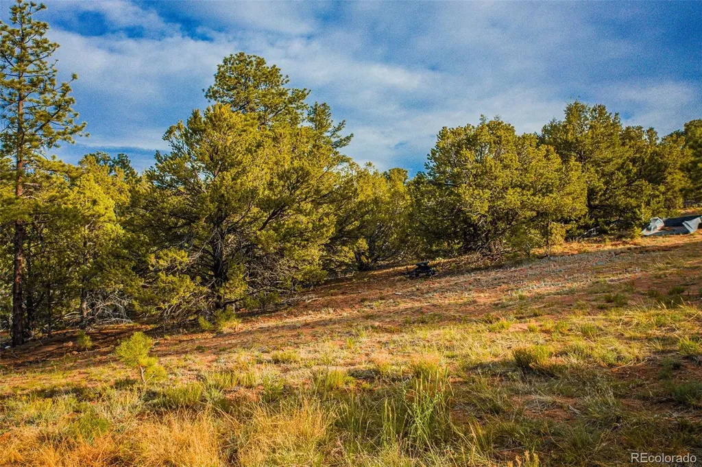 Lot 3 County Road 634.2 Gardner CO 81040