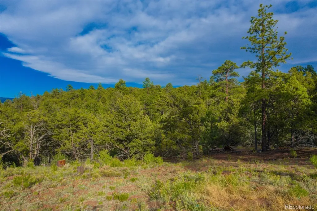 Lot 3 County Road 634.2 Gardner CO 81040