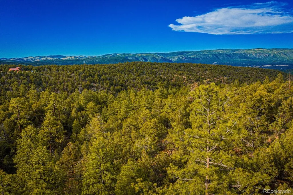 Lot 3 County Road 634.2 Gardner CO 81040