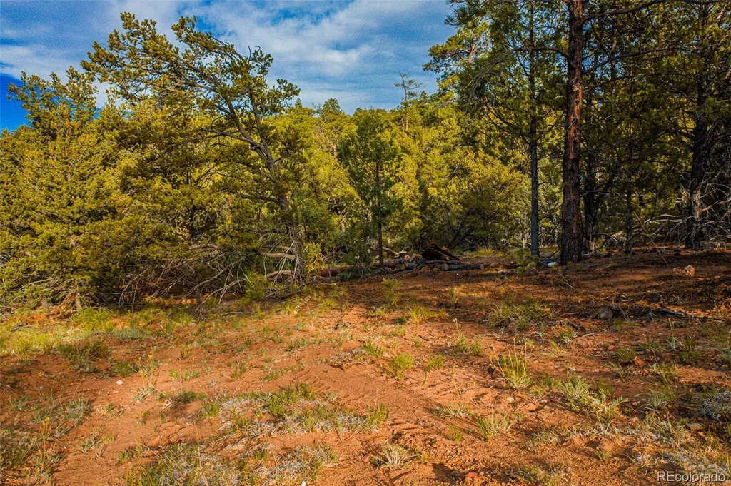 Lot 3 County Road 634.2 Gardner CO 81040