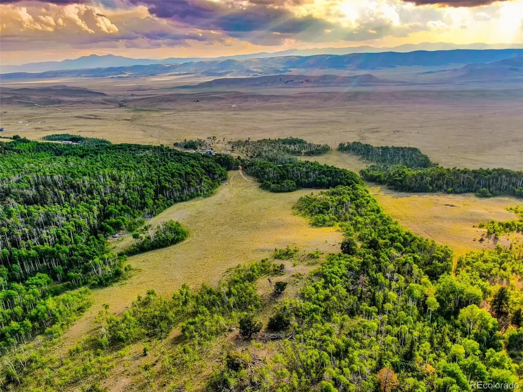 00 Night Hawk Circle Como CO 80432