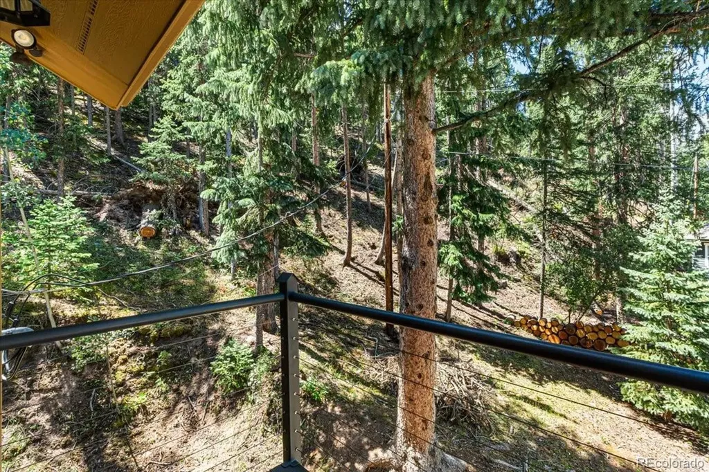 34038 Forest Estates Road Evergreen CO 80439