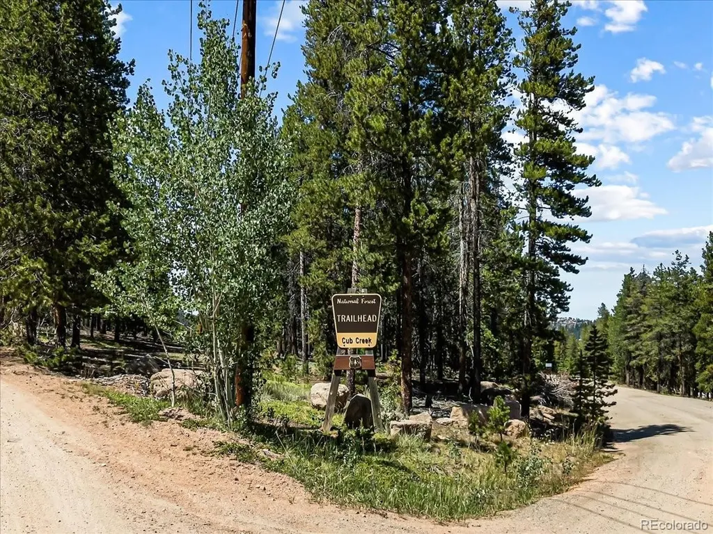34038 Forest Estates Road Evergreen CO 80439