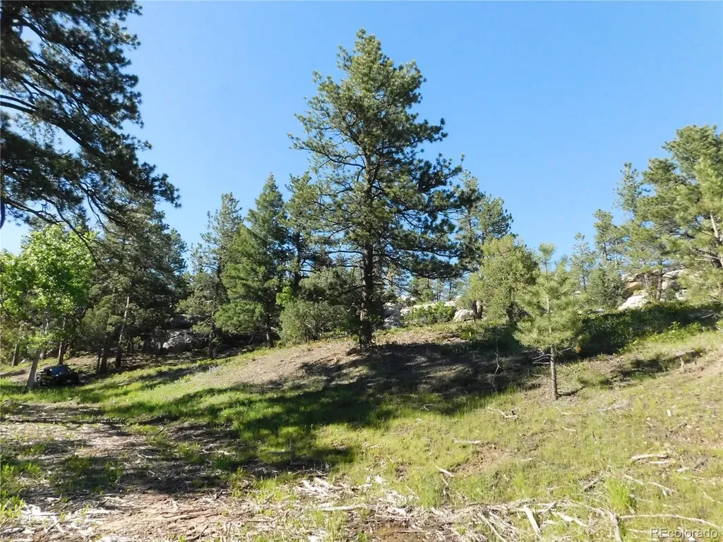5884 Seminole Trail Larkspur CO 80118