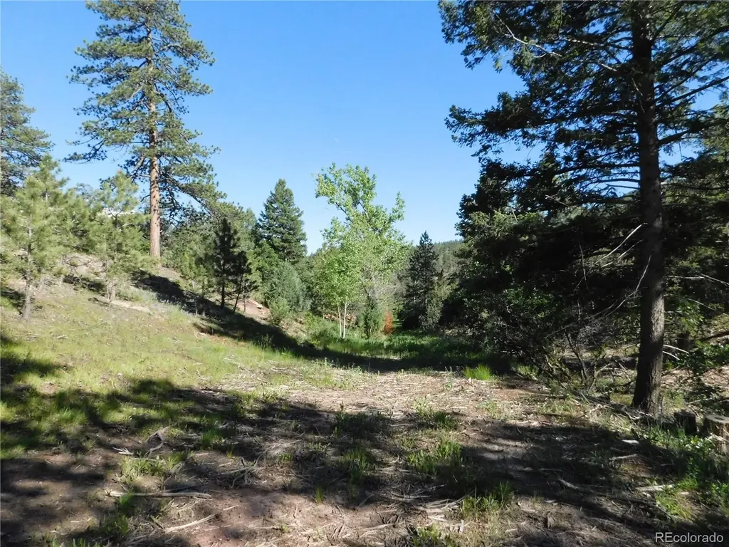 5884 Seminole Trail Larkspur CO 80118