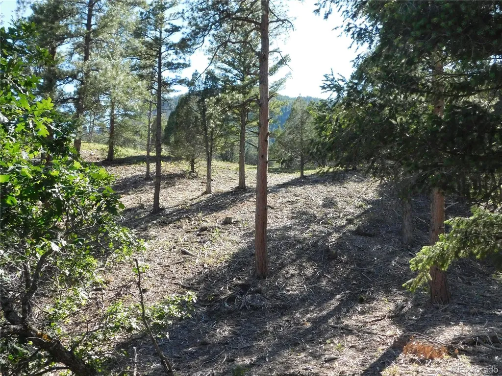 5884 Seminole Trail Larkspur CO 80118