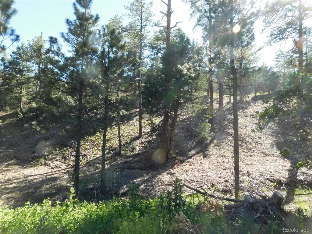 5884 Seminole Trail Larkspur CO 80118