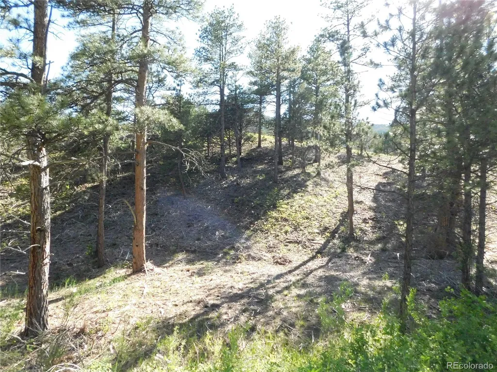 5884 Seminole Trail Larkspur CO 80118