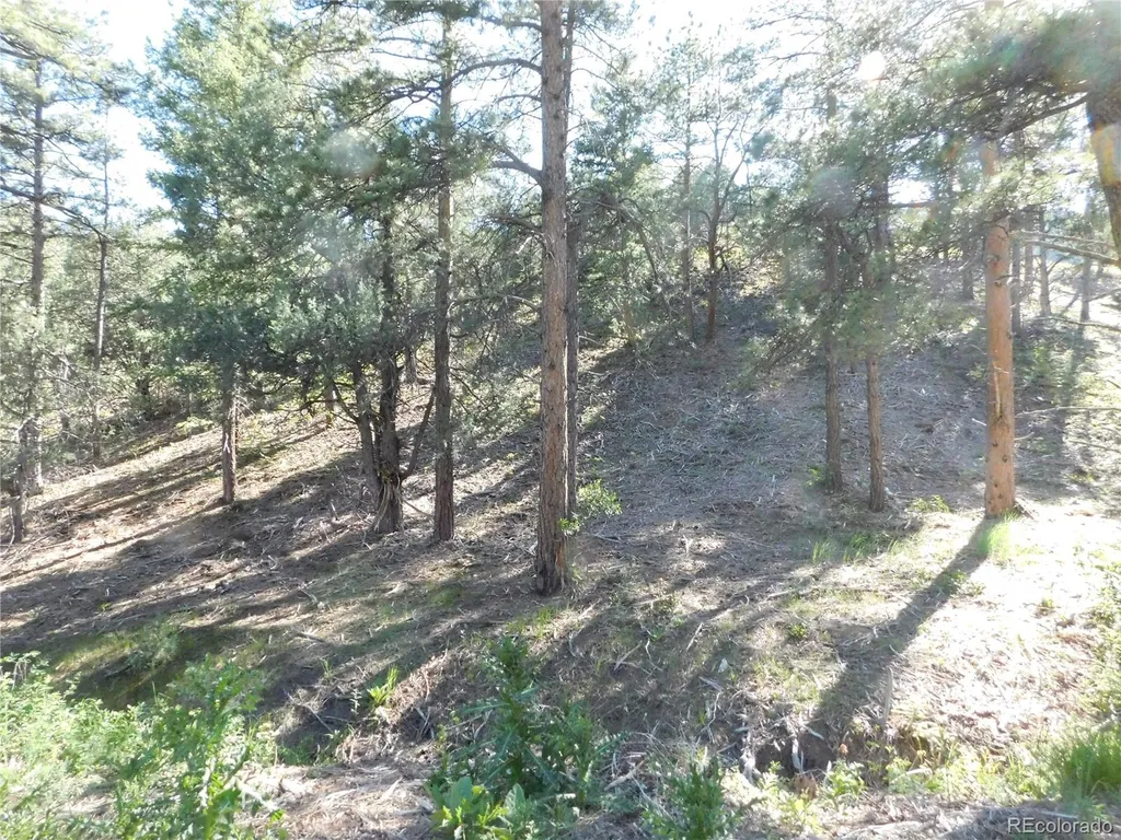 5884 Seminole Trail Larkspur CO 80118