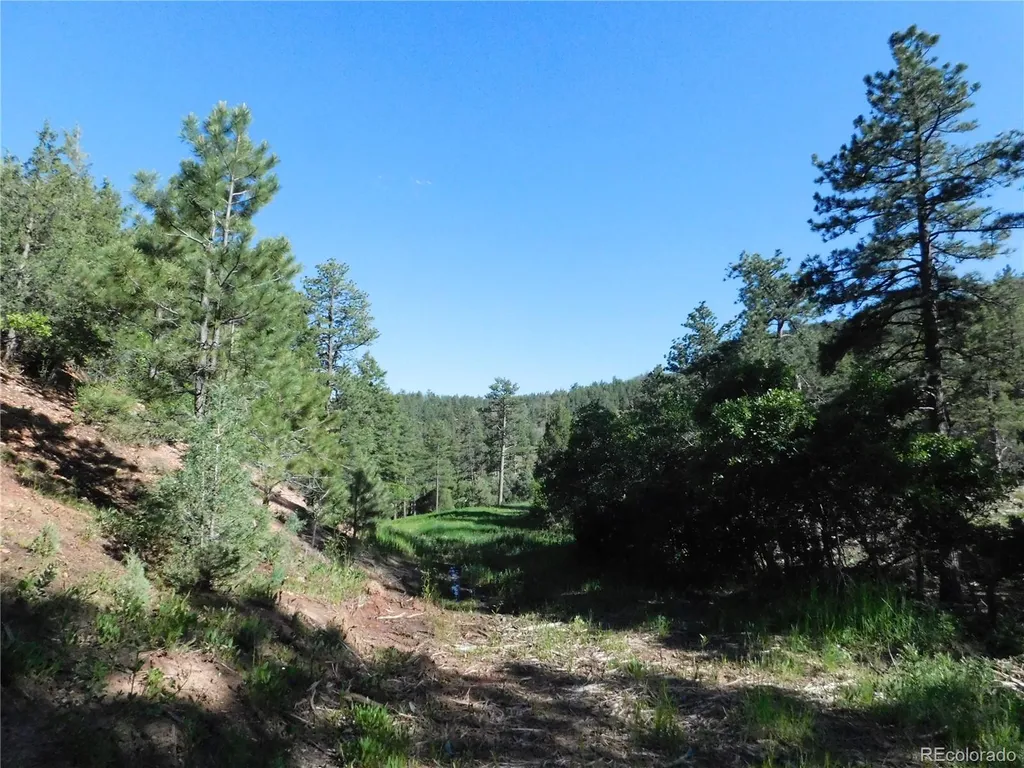 5884 Seminole Trail Larkspur CO 80118