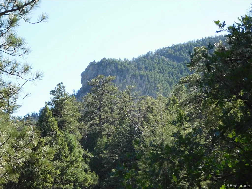 5884 Seminole Trail Larkspur CO 80118