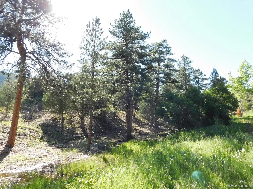 5884 Seminole Trail Larkspur CO 80118