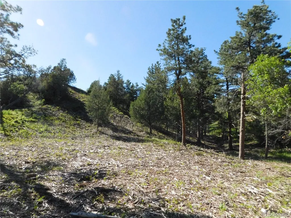 5884 Seminole Trail Larkspur CO 80118