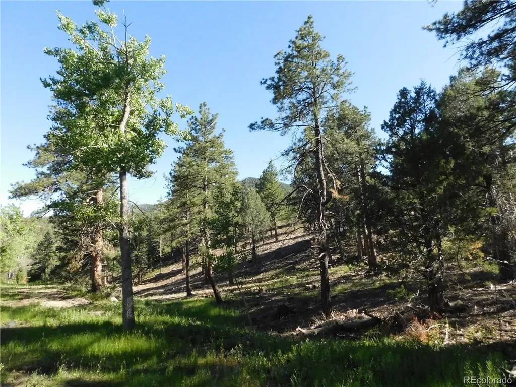 5884 Seminole Trail Larkspur CO 80118