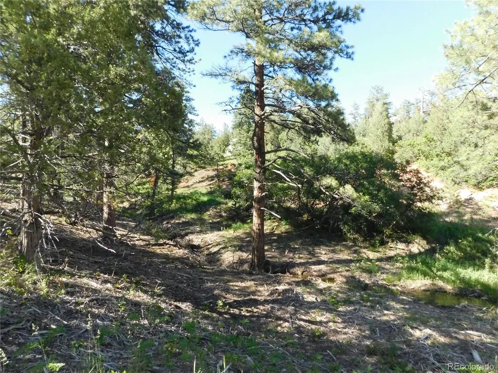5884 Seminole Trail Larkspur CO 80118