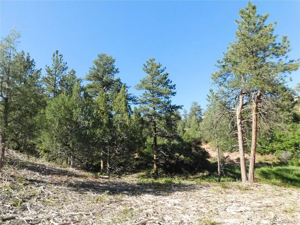 5884 Seminole Trail Larkspur CO 80118