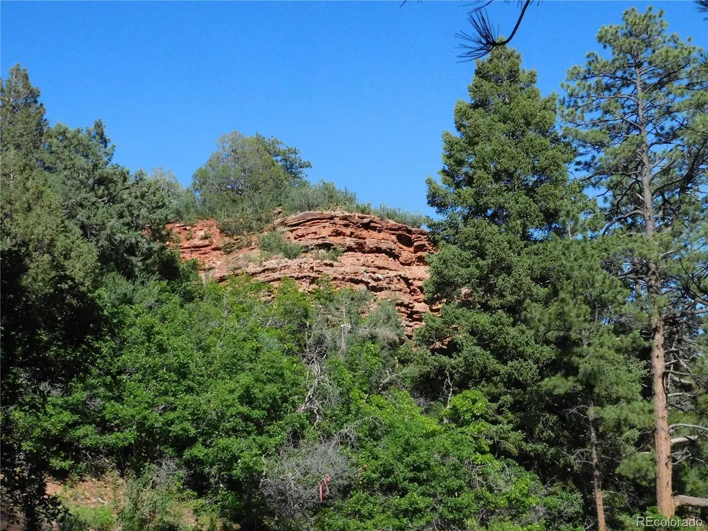 5884 Seminole Trail Larkspur CO 80118