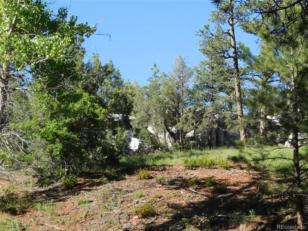 5884 Seminole Trail Larkspur CO 80118