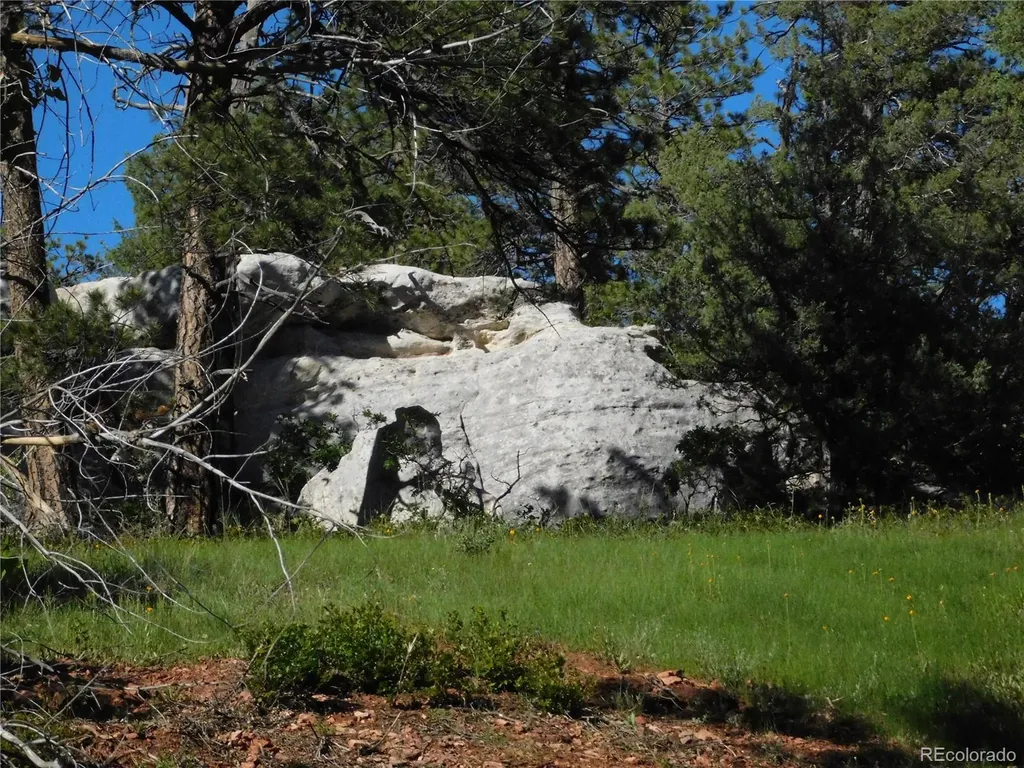 5884 Seminole Trail Larkspur CO 80118