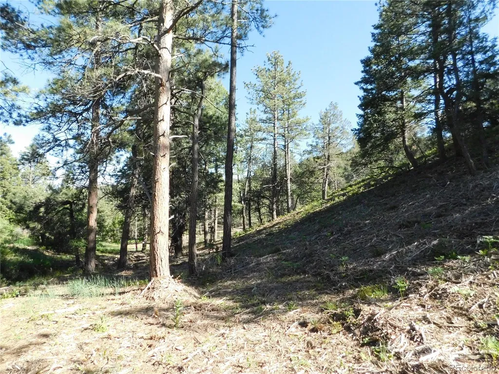 5884 Seminole Trail Larkspur CO 80118