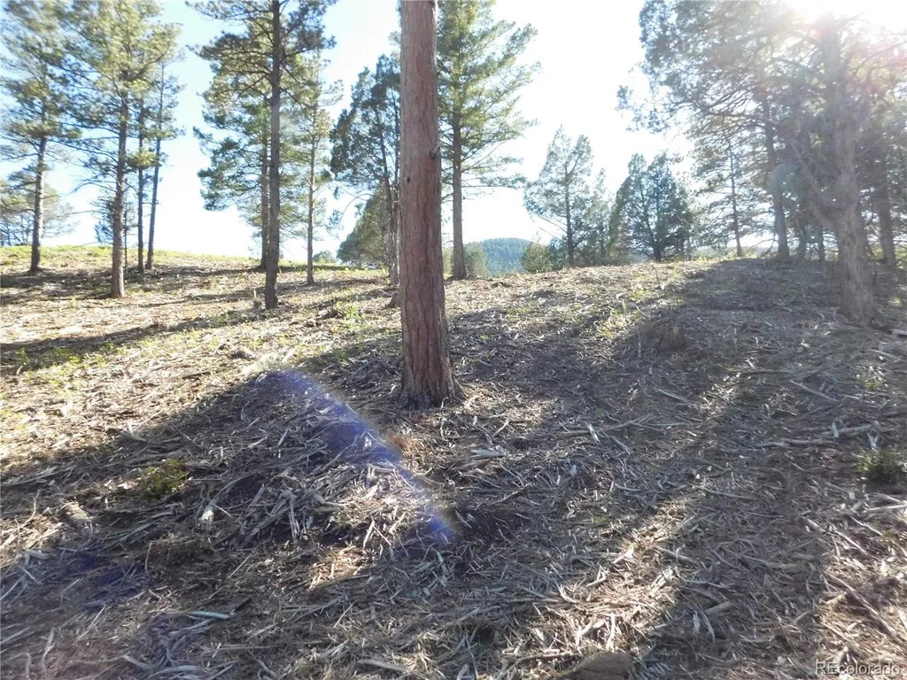 5884 Seminole Trail Larkspur CO 80118