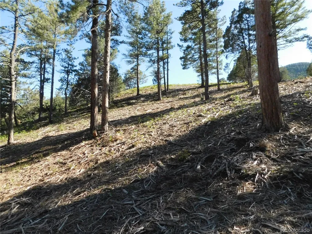 5884 Seminole Trail Larkspur CO 80118