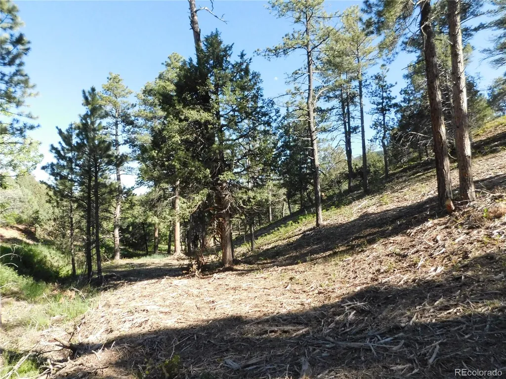 5884 Seminole Trail Larkspur CO 80118