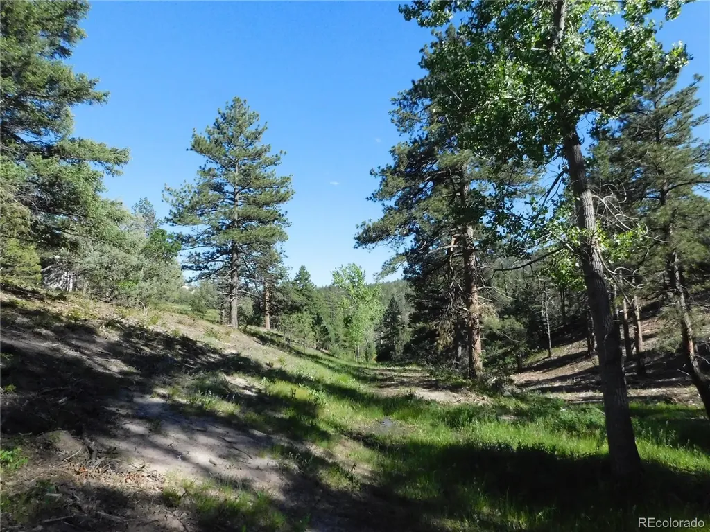 5884 Seminole Trail Larkspur CO 80118
