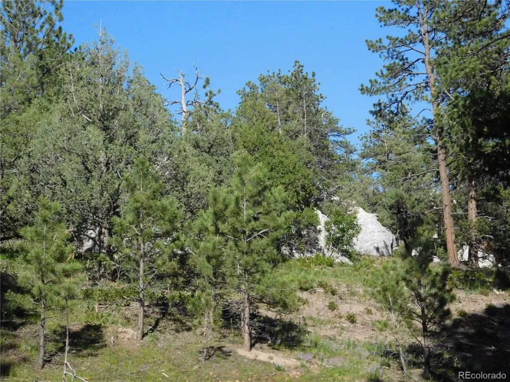 5884 Seminole Trail Larkspur CO 80118