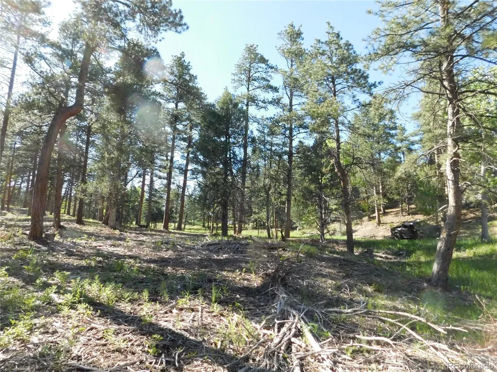 5884 Seminole Trail Larkspur CO 80118