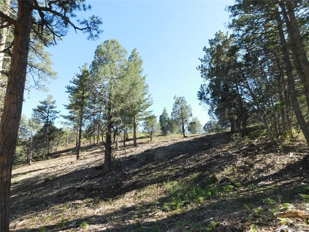 5884 Seminole Trail Larkspur CO 80118