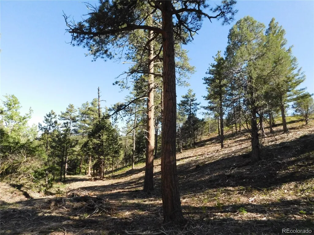 5884 Seminole Trail Larkspur CO 80118