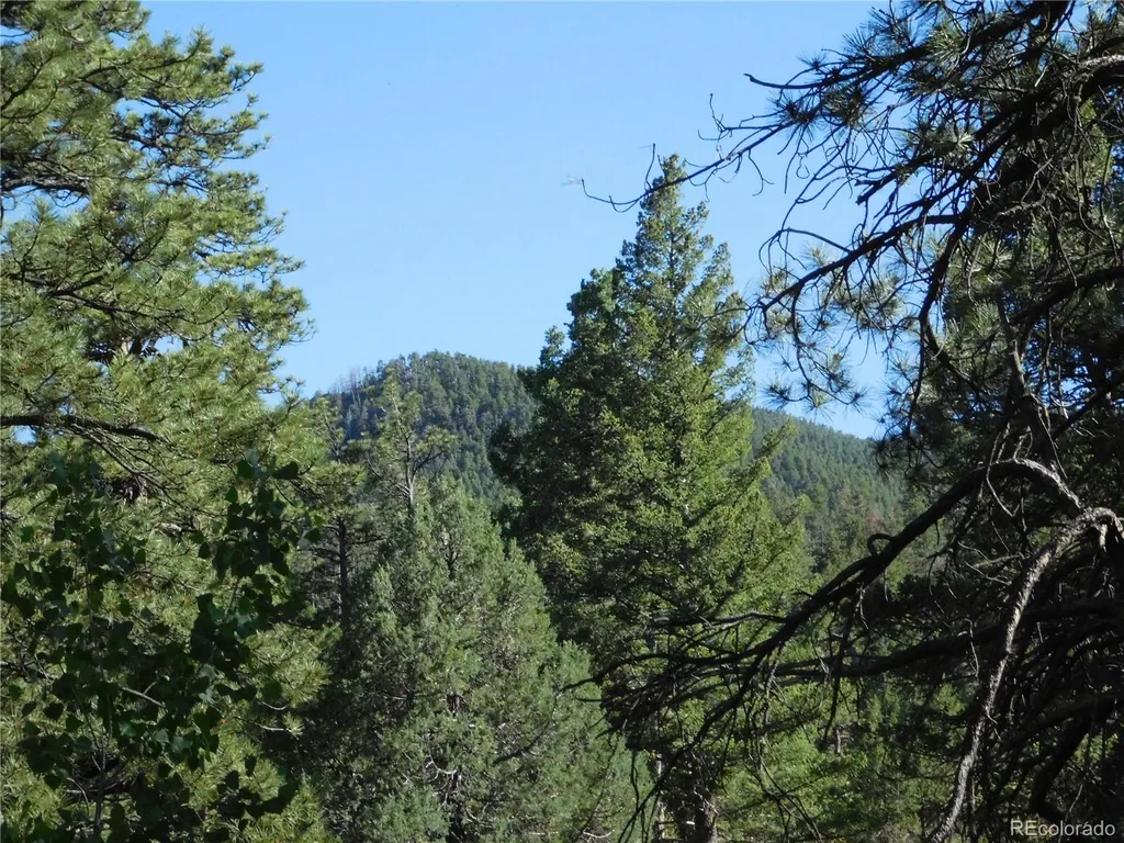 5884 Seminole Trail Larkspur CO 80118