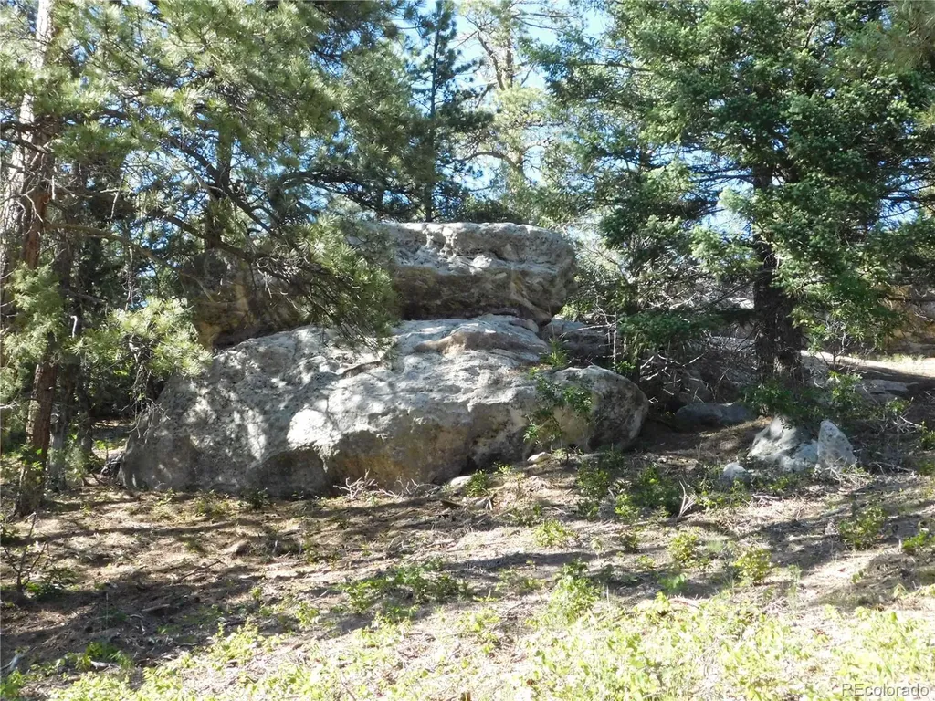 5884 Seminole Trail Larkspur CO 80118
