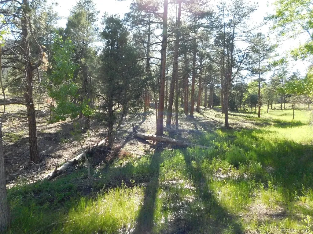 5884 Seminole Trail Larkspur CO 80118