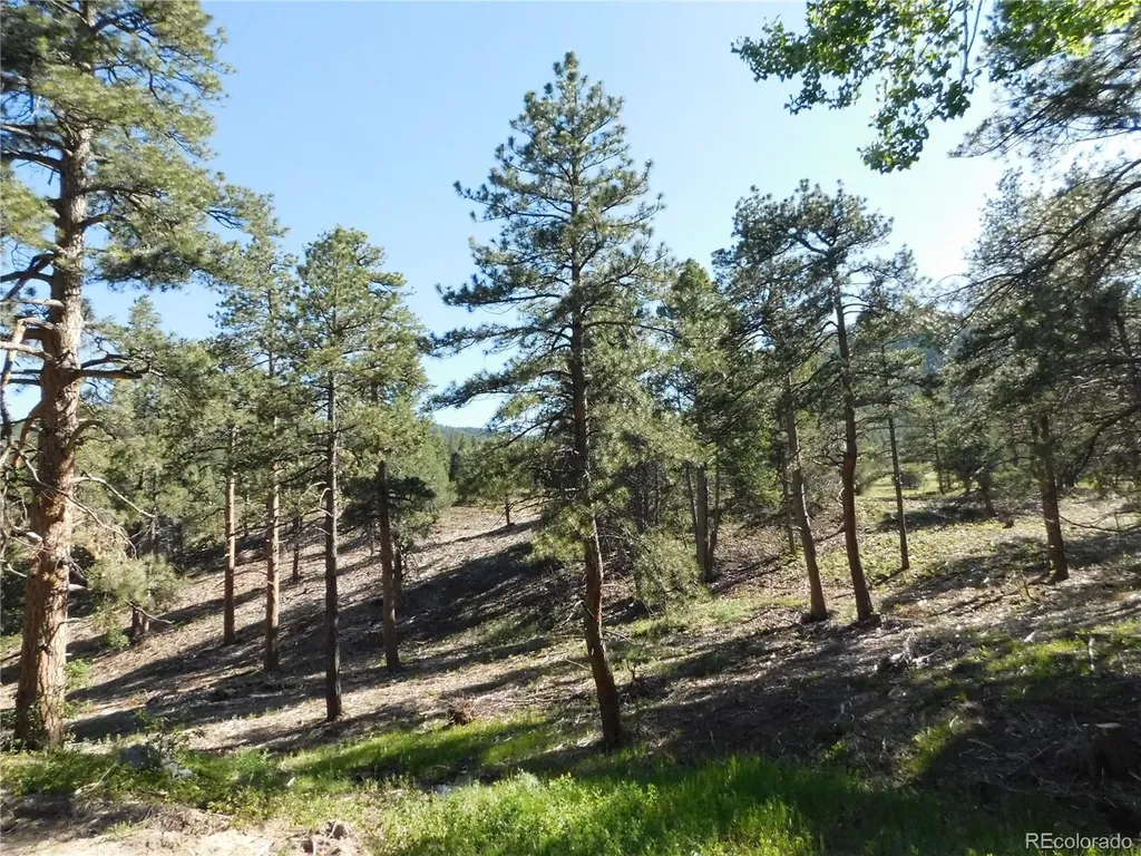 5884 Seminole Trail Larkspur CO 80118