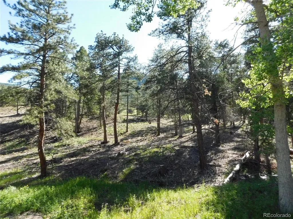 5884 Seminole Trail Larkspur CO 80118
