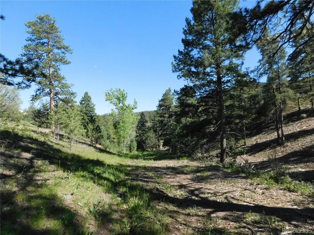 5884 Seminole Trail Larkspur CO 80118