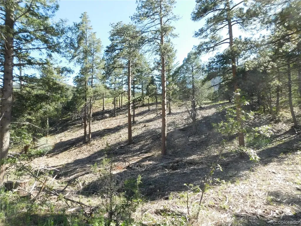 5884 Seminole Trail Larkspur CO 80118