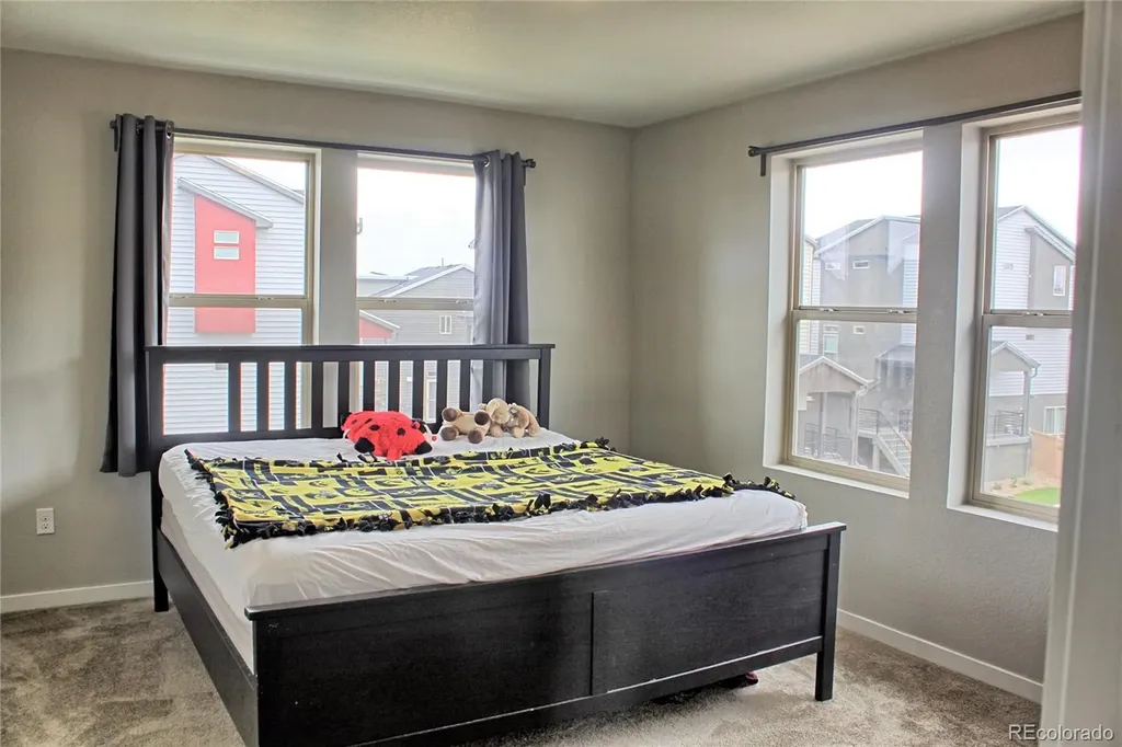 4144 Elegant Street Castle Rock CO 80109
