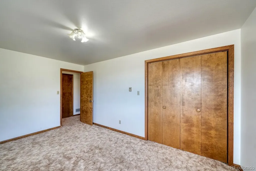 37811 Twin Kopie Road Buena Vista CO 81211