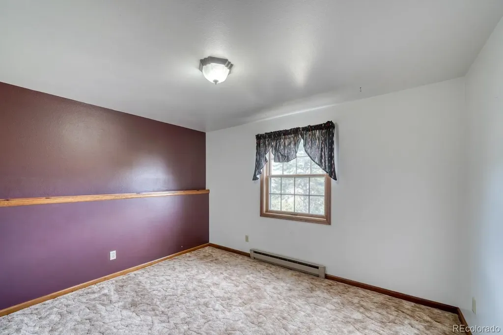 37811 Twin Kopie Road Buena Vista CO 81211