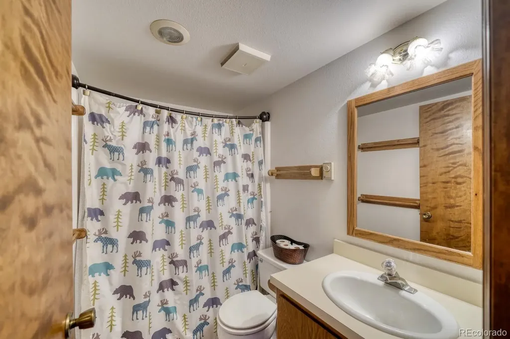 37811 Twin Kopie Road Buena Vista CO 81211