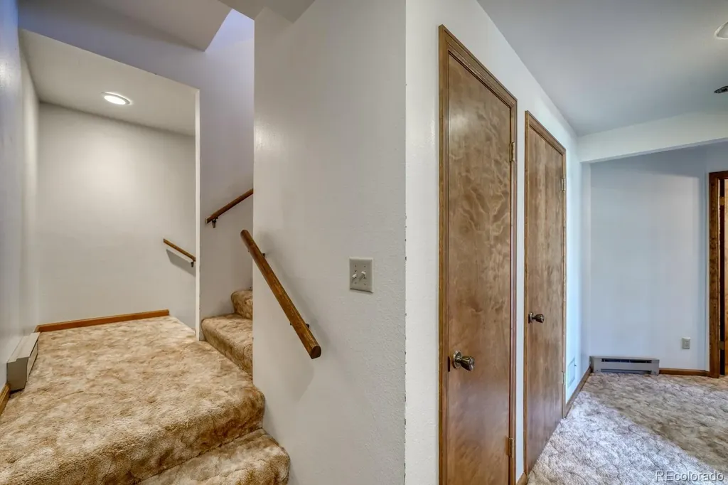 37811 Twin Kopie Road Buena Vista CO 81211